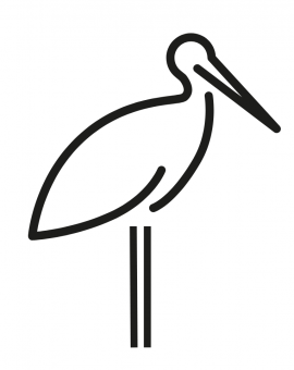 Storch