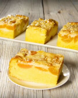 Joghurt-Aprikosen-Schnitte