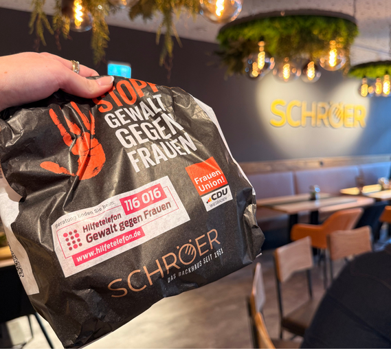 Verlegung der Kabel und Montage der Decke